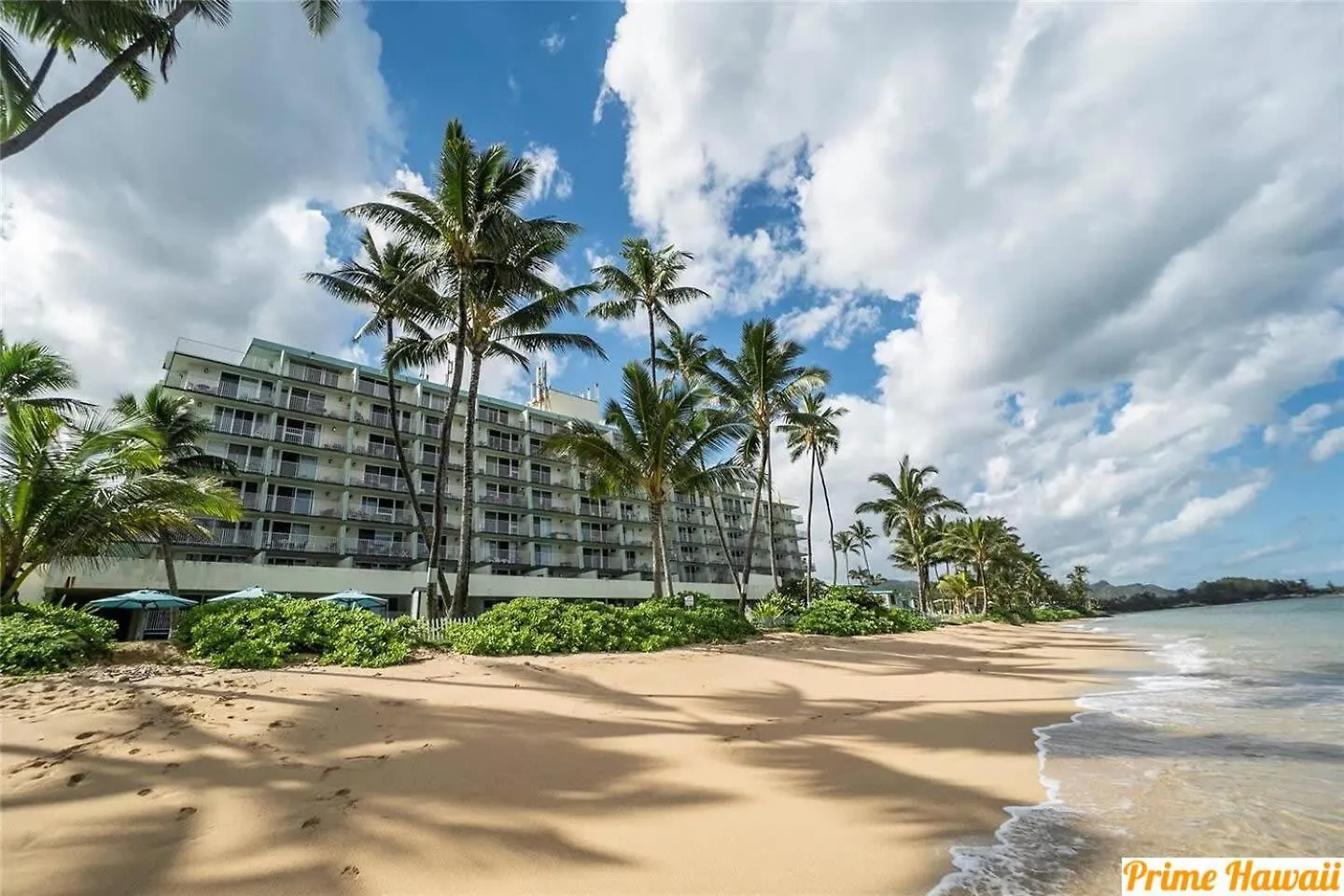 Pats At Punalu'U - Beachfront Condo 1 Hau'ula Дом отдыха