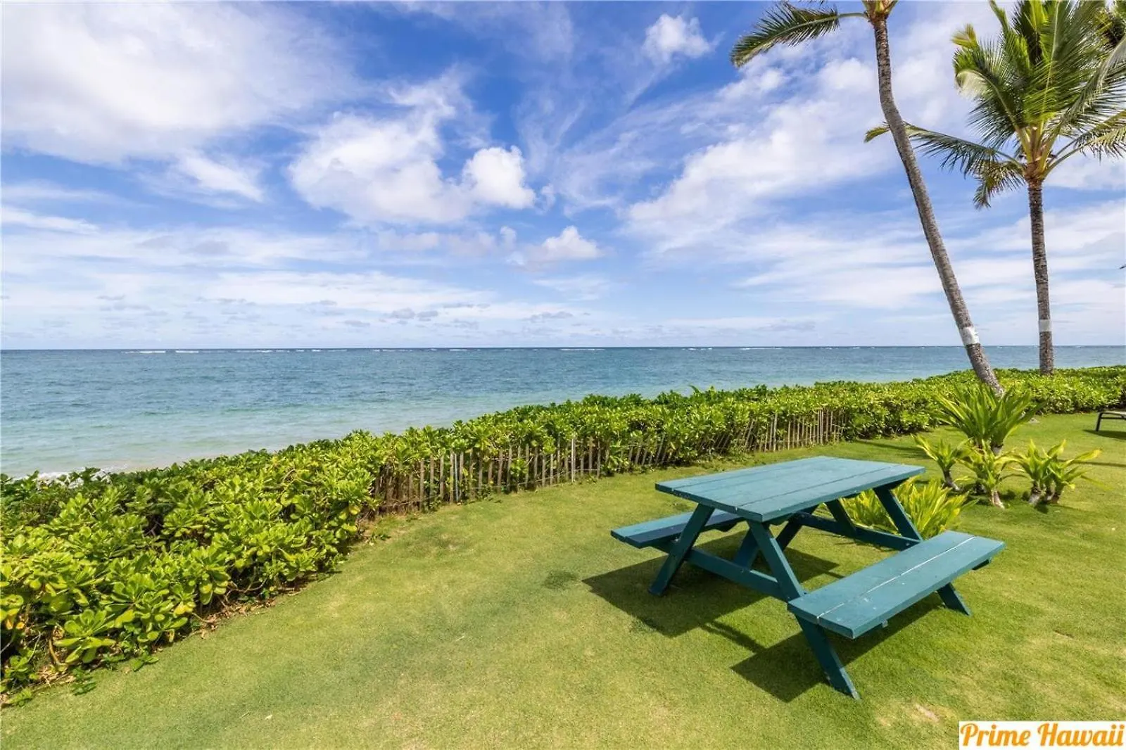 Дом отдыха Pats At Punalu'U - Beachfront Condo 1 Hau'ula США